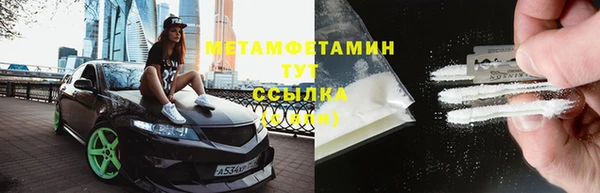 крисы Мегион