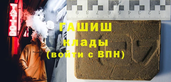крисы Мегион