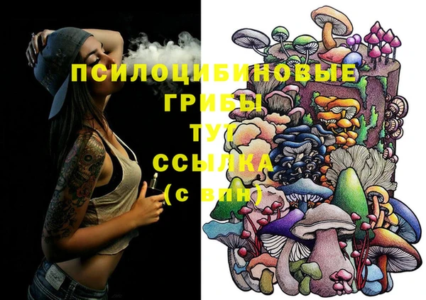 первитин Медногорск