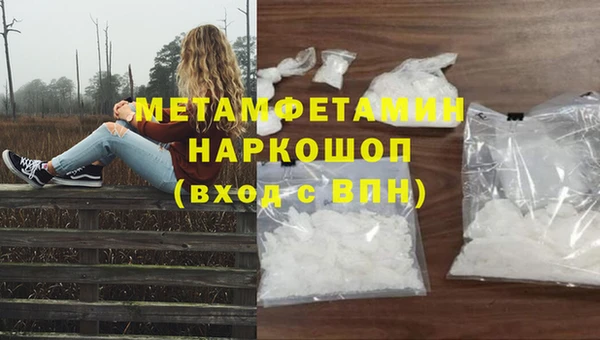 крисы Мегион