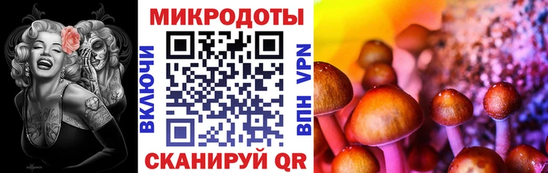 гидра вход  Ессентукская  Псилоцибиновые грибы Cubensis 